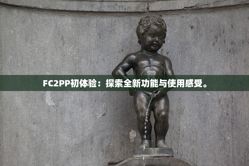 FC2PP初体验：探索全新功能与使用感受。