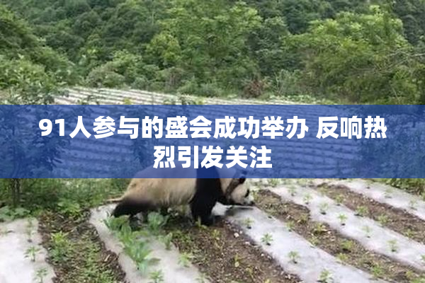 91人参与的盛会成功举办 反响热烈引发关注
