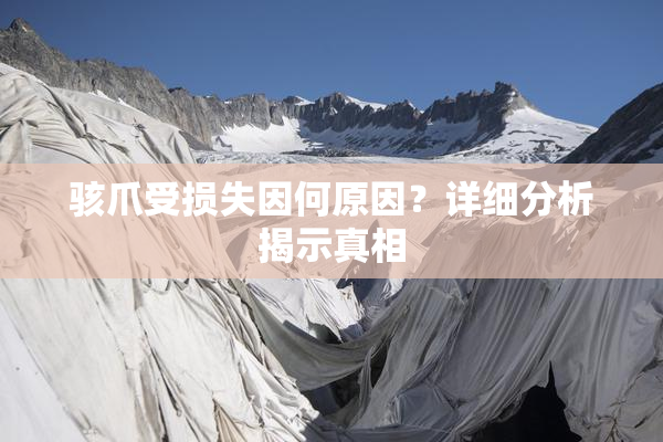 骇爪受损失因何原因？详细分析揭示真相