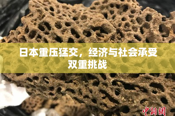 日本重压猛交，经济与社会承受双重挑战