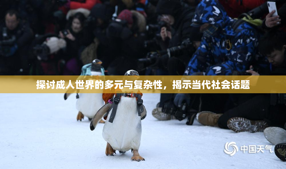 探讨成人世界的多元与复杂性，揭示当代社会话题