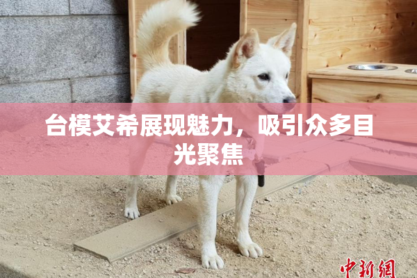 台模艾希展现魅力，吸引众多目光聚焦