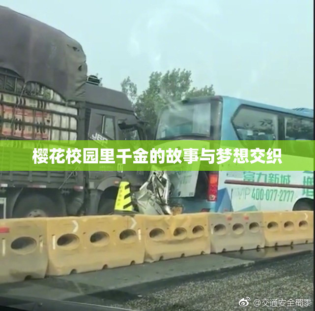 樱花校园里千金的故事与梦想交织