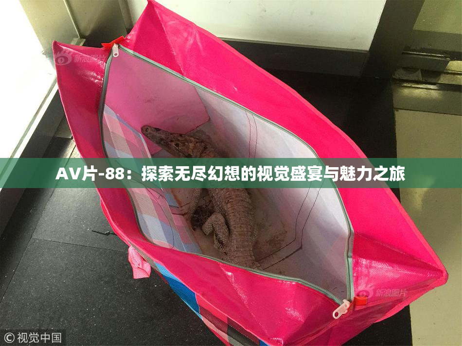 AV片-88：探索无尽幻想的视觉盛宴与魅力之旅
