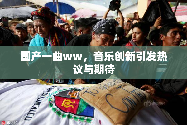 国产一曲ww，音乐创新引发热议与期待