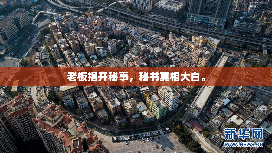 老板揭开秘事，秘书真相大白。