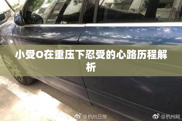 小受O在重压下忍受的心路历程解析