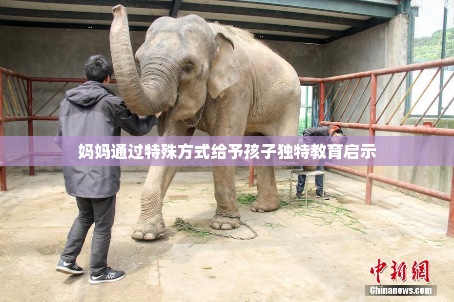妈妈通过特殊方式给予孩子独特教育启示