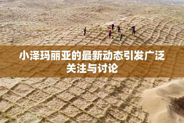 小泽玛丽亚的最新动态引发广泛关注与讨论