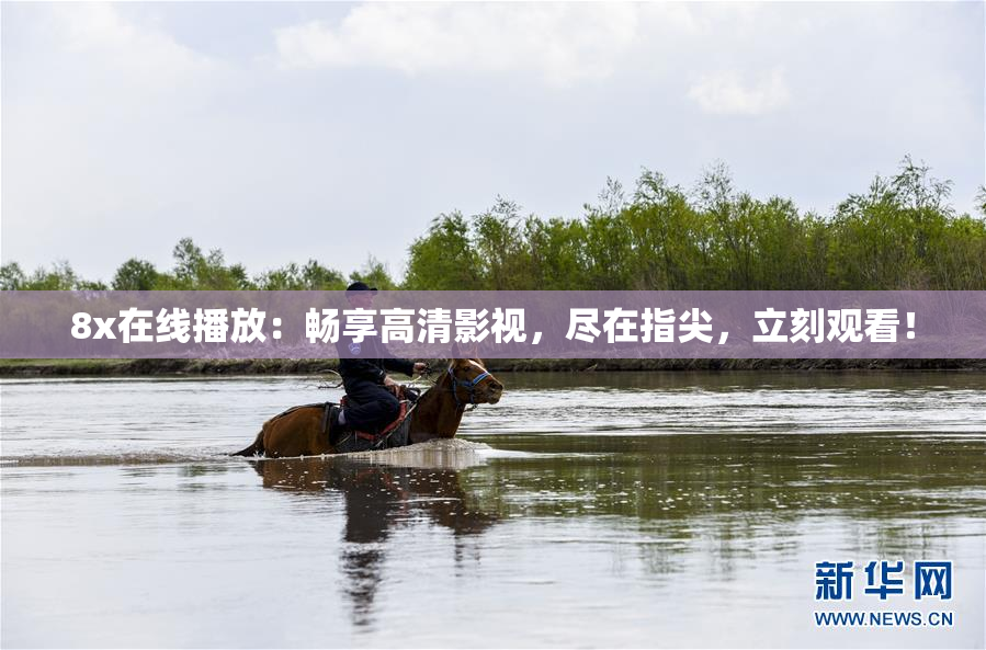 8x在线播放：畅享高清影视，尽在指尖，立刻观看！