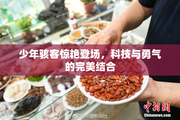 少年骇客惊艳登场，科技与勇气的完美结合