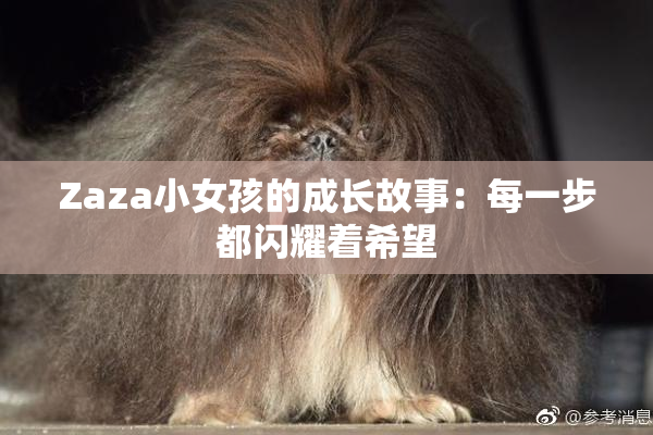 Zaza小女孩的成长故事：每一步都闪耀着希望