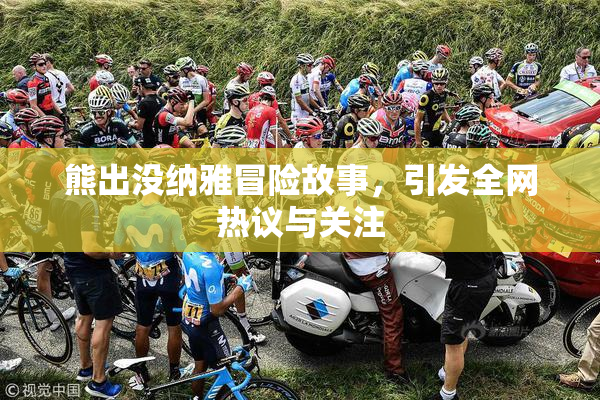 熊出没纳雅冒险故事，引发全网热议与关注