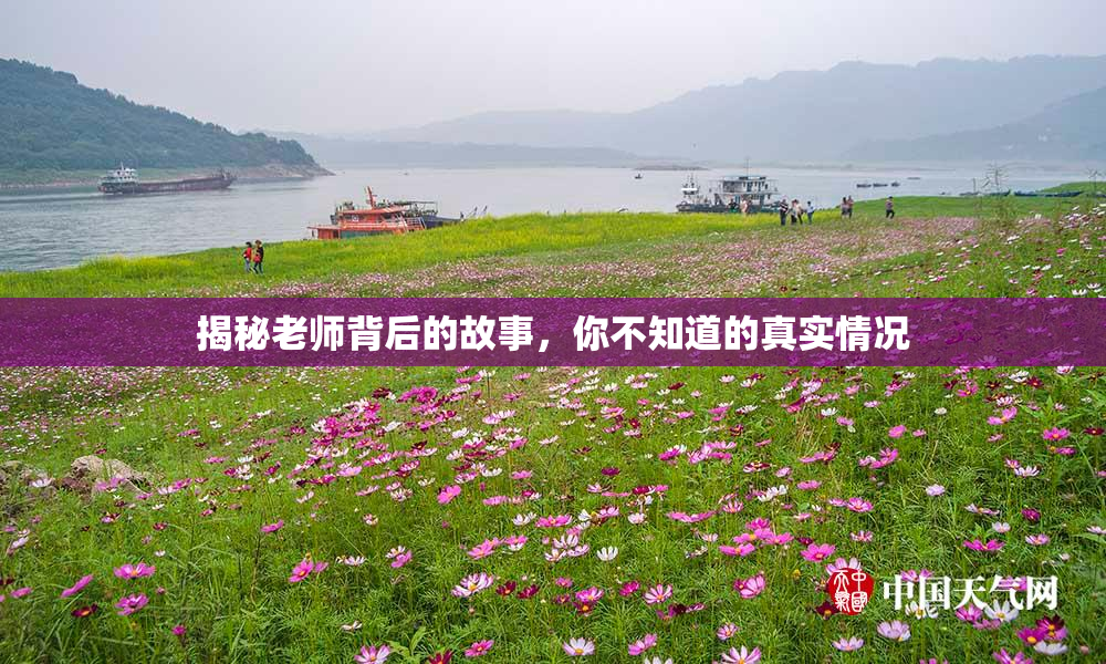 揭秘老师背后的故事，你不知道的真实情况