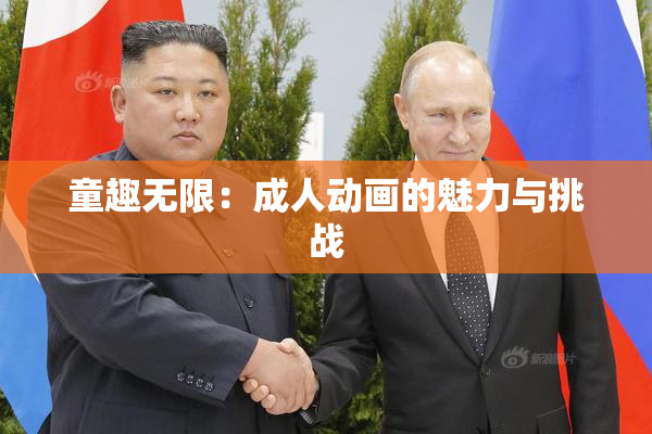 童趣无限：成人动画的魅力与挑战