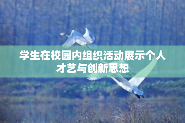学生在校园内组织活动展示个人才艺与创新思想