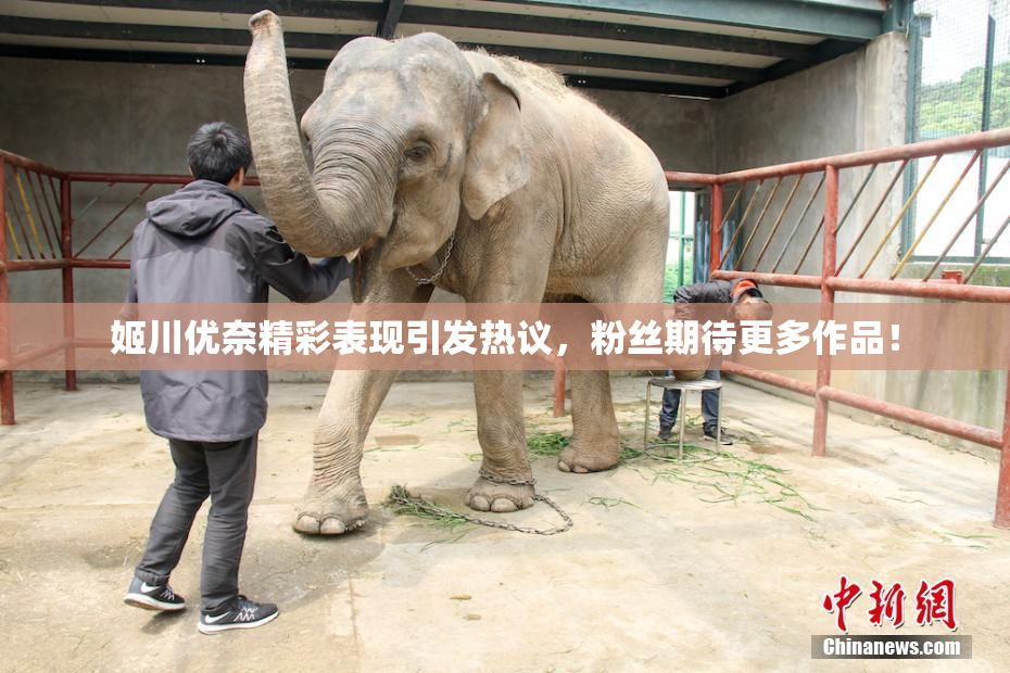 姬川优奈精彩表现引发热议，粉丝期待更多作品！