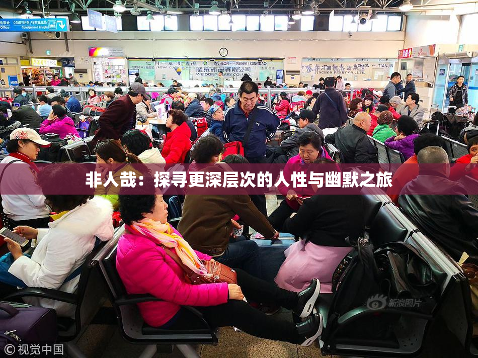 非人哉：探寻更深层次的人性与幽默之旅