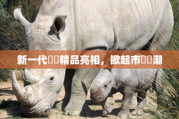 新一代國產精品亮相，掀起市場熱潮