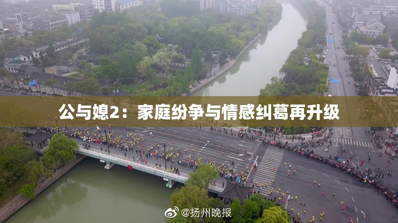 公与媳2：家庭纷争与情感纠葛再升级
