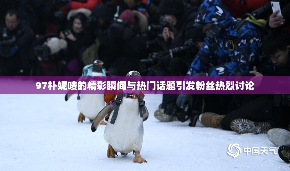 97朴妮唛的精彩瞬间与热门话题引发粉丝热烈讨论
