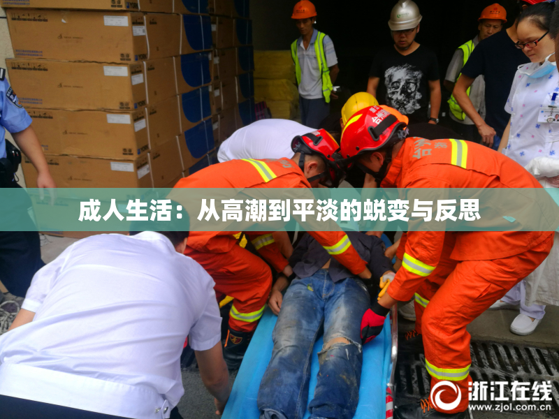 成人生活：从高潮到平淡的蜕变与反思