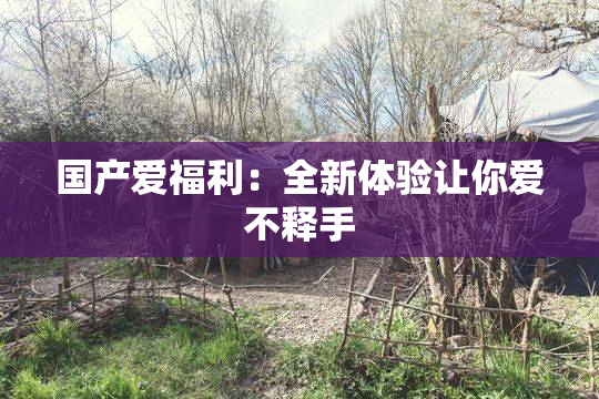 国产爱福利：全新体验让你爱不释手
