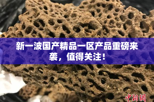 新一波国产精品一区产品重磅来袭，值得关注！