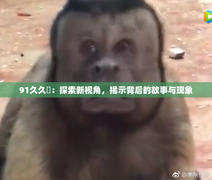 91久久擼：探索新视角，揭示背后的故事与现象