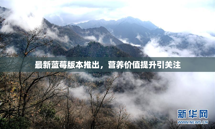 最新蓝莓版本推出，营养价值提升引关注