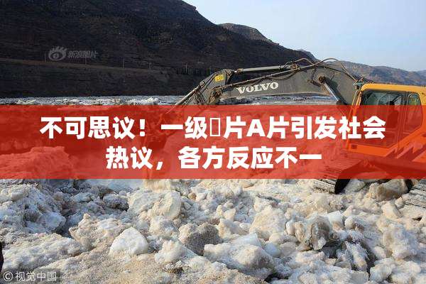 不可思议！一级婬片A片引发社会热议，各方反应不一