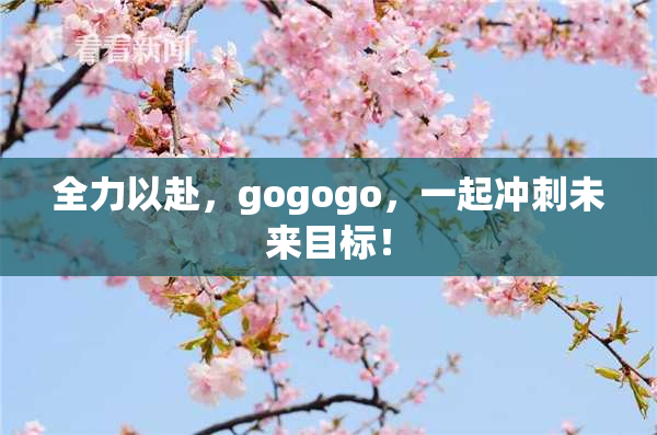 全力以赴，gogogo，一起冲刺未来目标！
