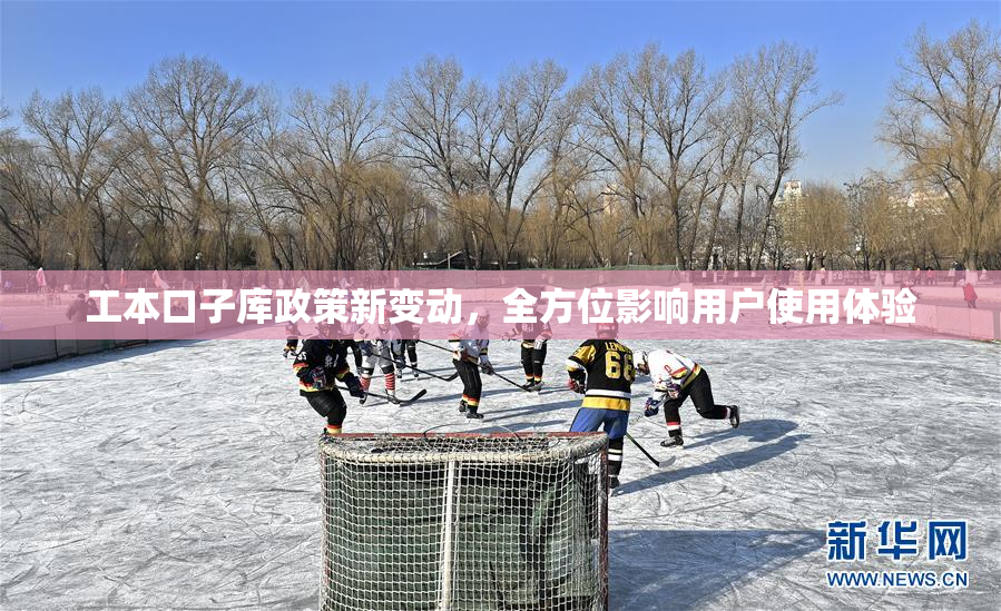 工本口子库政策新变动，全方位影响用户使用体验