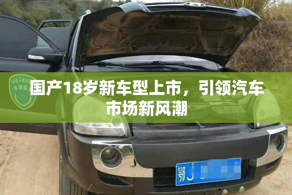 国产18岁新车型上市，引领汽车市场新风潮