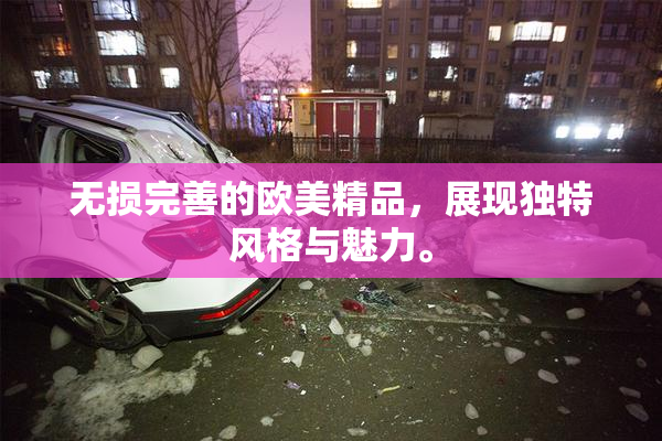 无损完善的欧美精品，展现独特风格与魅力。