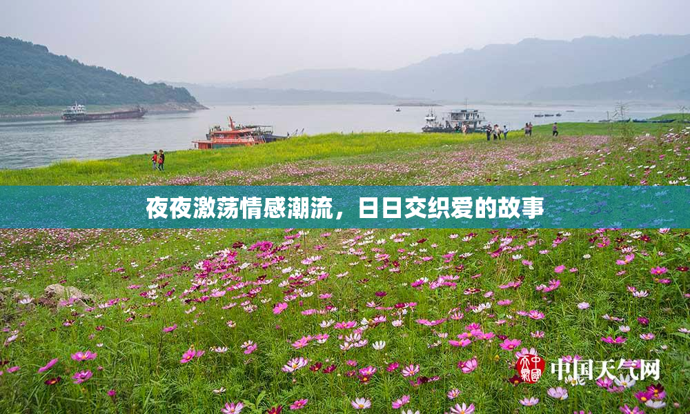 夜夜激荡情感潮流，日日交织爱的故事