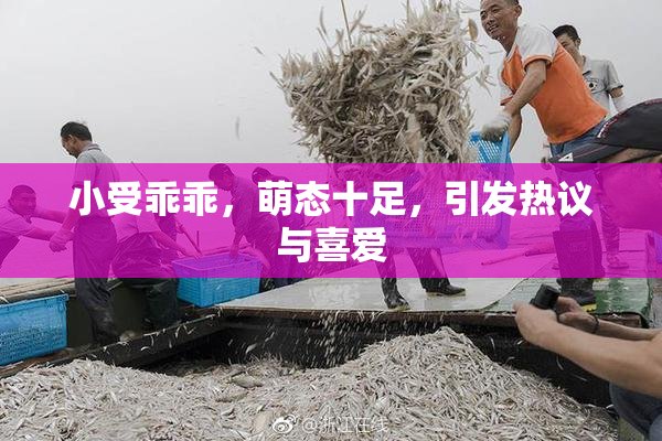 小受乖乖，萌态十足，引发热议与喜爱