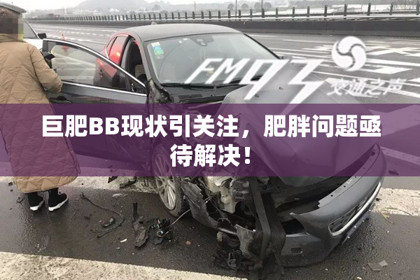 巨肥BB现状引关注，肥胖问题亟待解决！