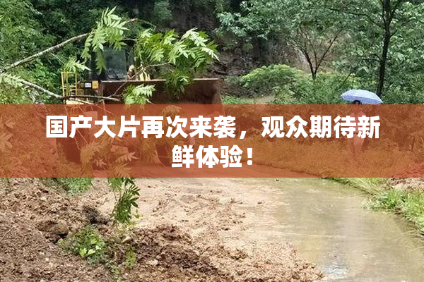 国产大片再次来袭，观众期待新鲜体验！