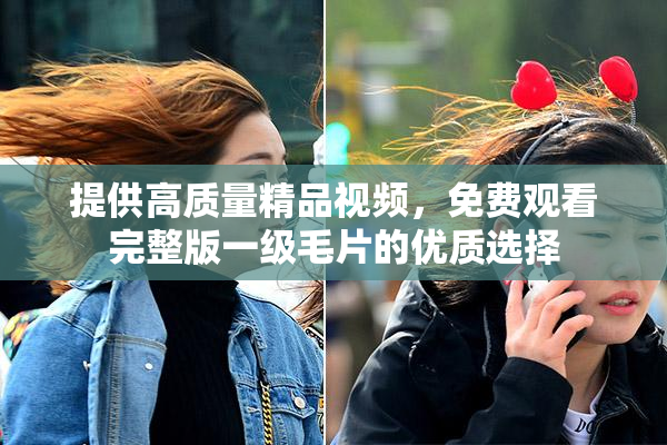 提供高质量精品视频，免费观看完整版一级毛片的优质选择