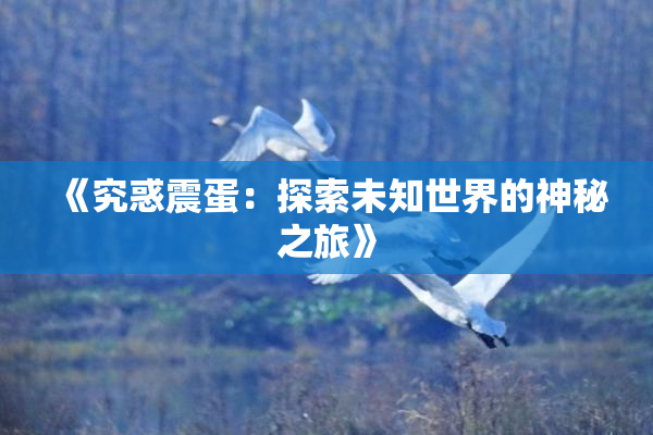 《究惑震蛋：探索未知世界的神秘之旅》