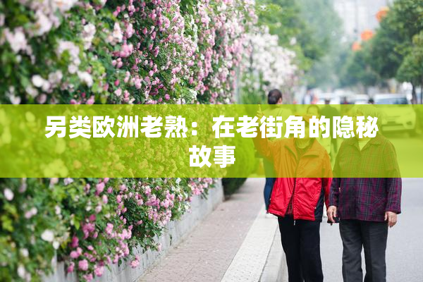 另类欧洲老熟：在老街角的隐秘故事