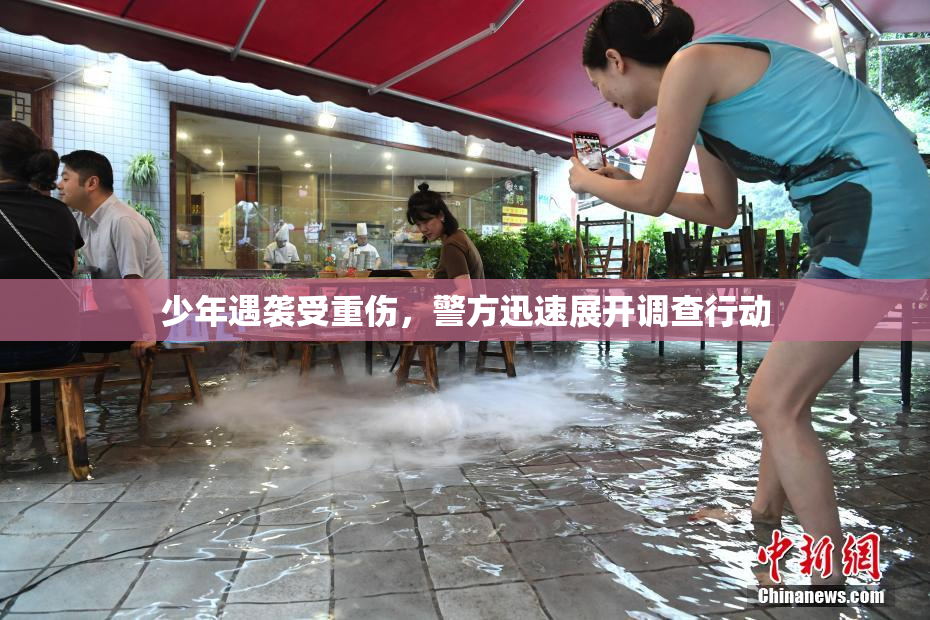 少年遇袭受重伤，警方迅速展开调查行动