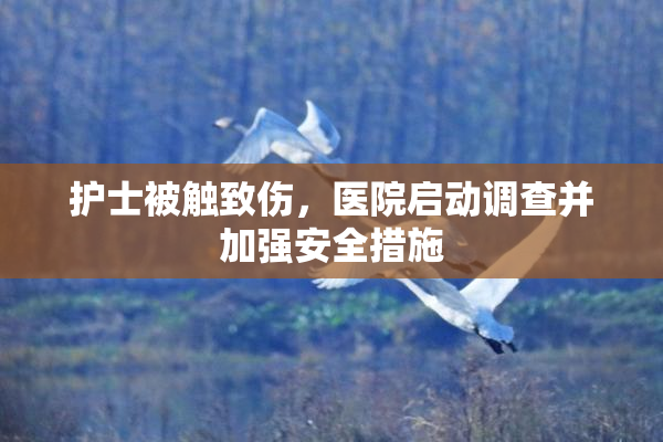 护士被触致伤，医院启动调查并加强安全措施