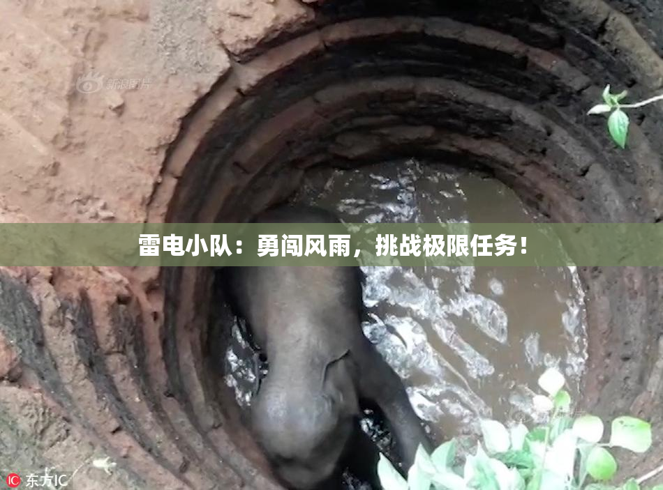 雷电小队：勇闯风雨，挑战极限任务！