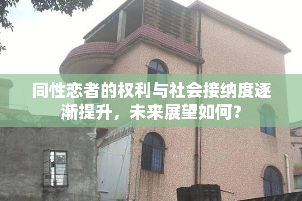 同性恋者的权利与社会接纳度逐渐提升，未来展望如何？