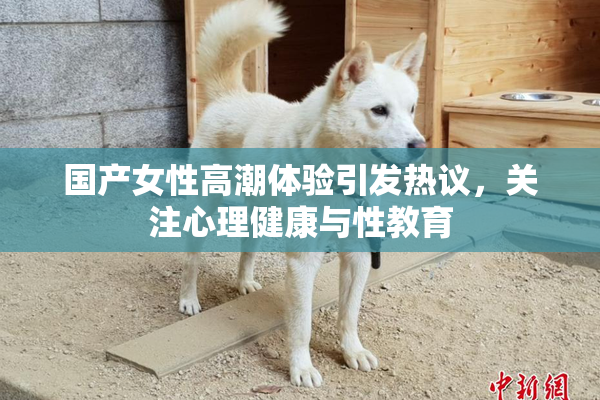 国产女性高潮体验引发热议，关注心理健康与性教育
