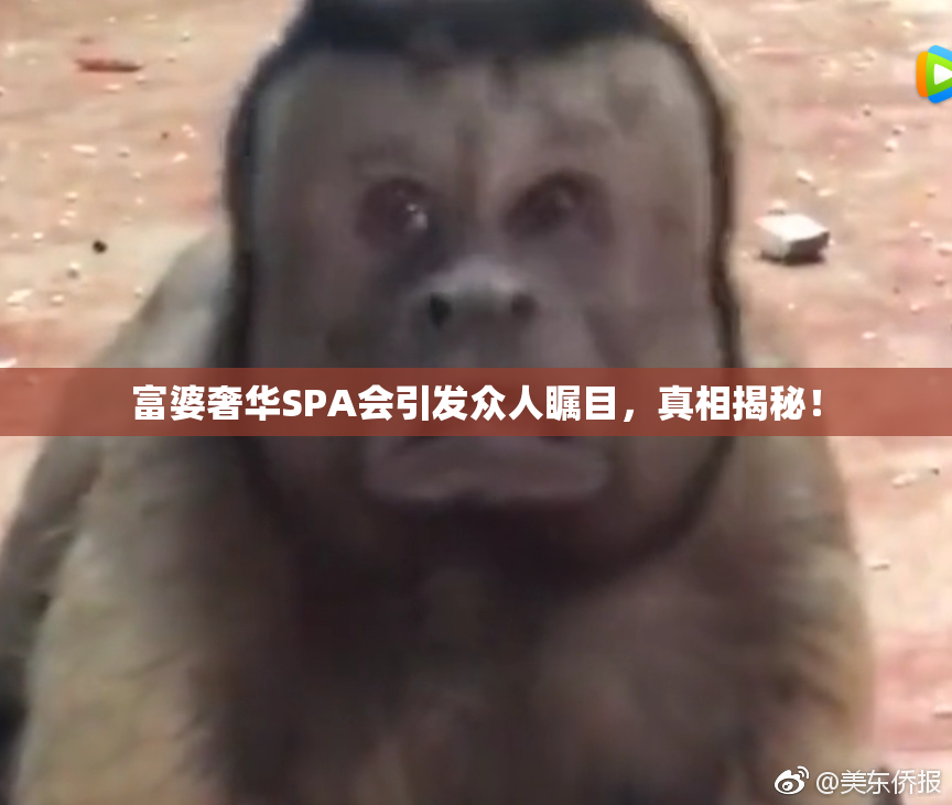 富婆奢华SPA会引发众人瞩目，真相揭秘！