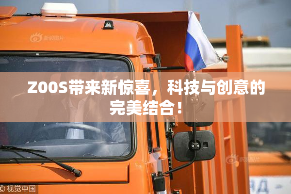 Z00S带来新惊喜，科技与创意的完美结合！