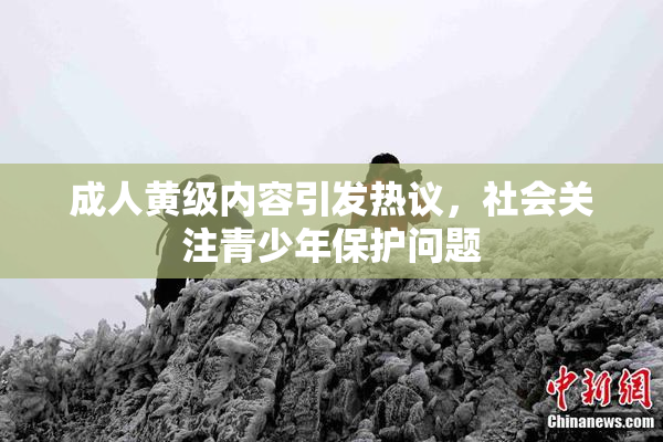 成人黄级内容引发热议，社会关注青少年保护问题